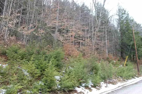 Lot 1-26 Madison Brook Lane Stockbridge VT 05772