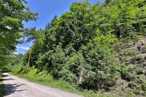 Lot 1-26 Madison Brook Lane Stockbridge VT 05772