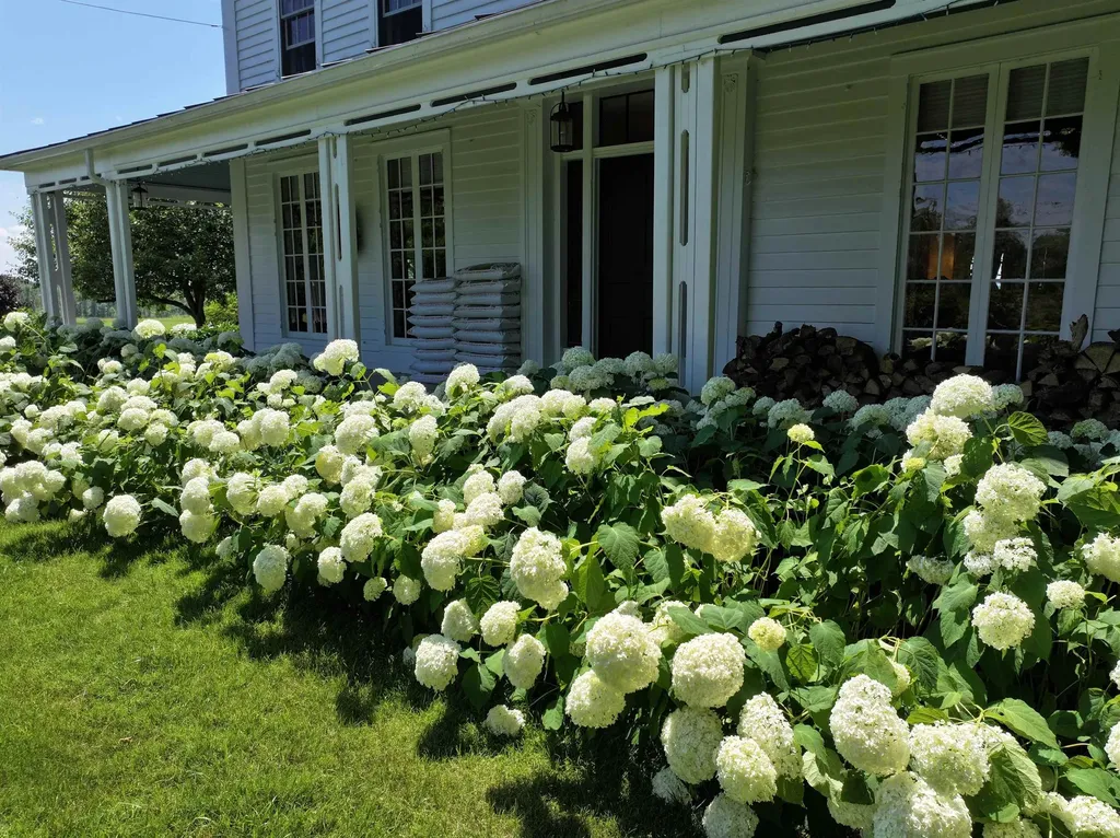 484 Halladay Road Middlebury VT 05753