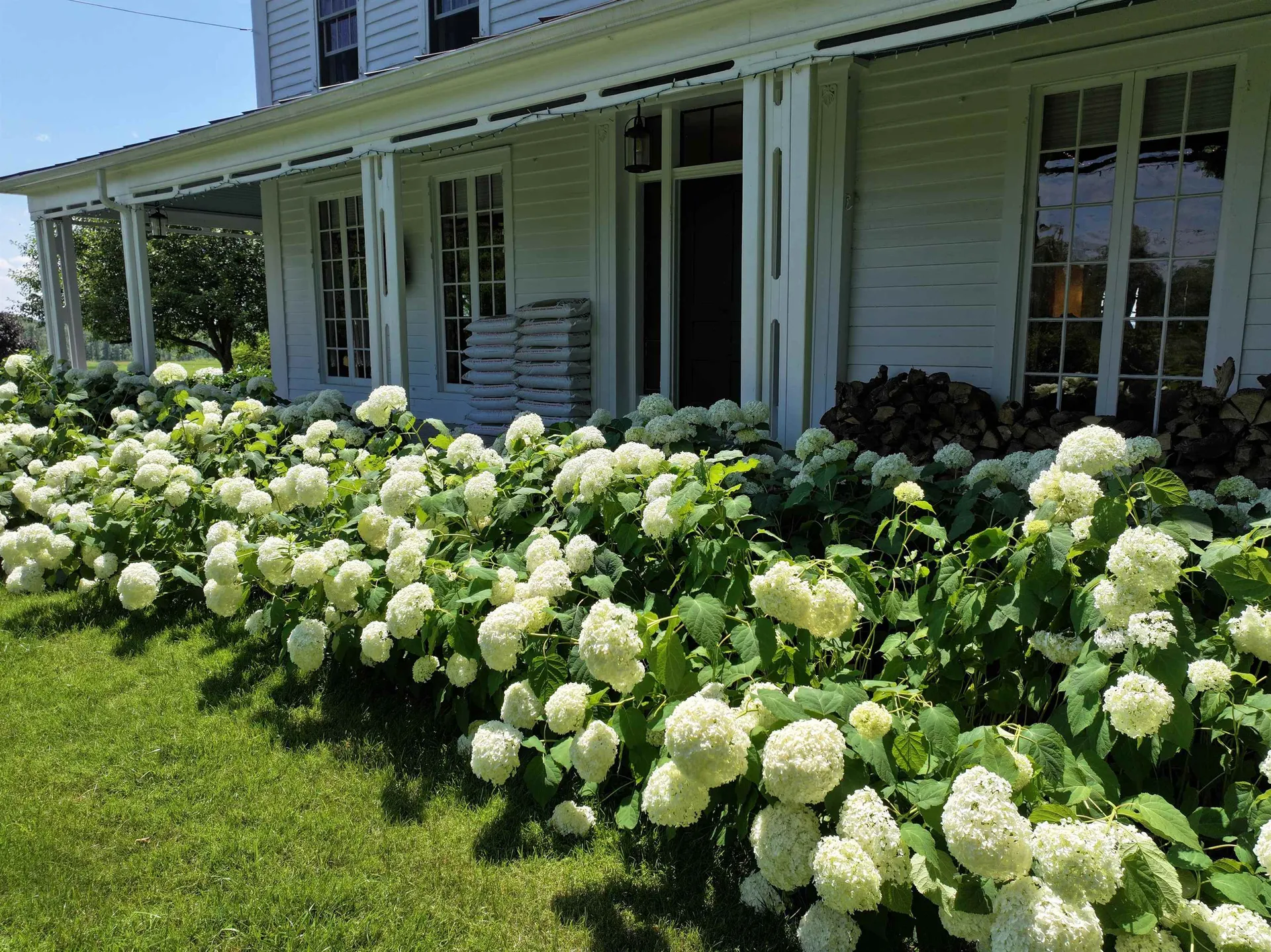 484 Halladay Road Middlebury VT 05753