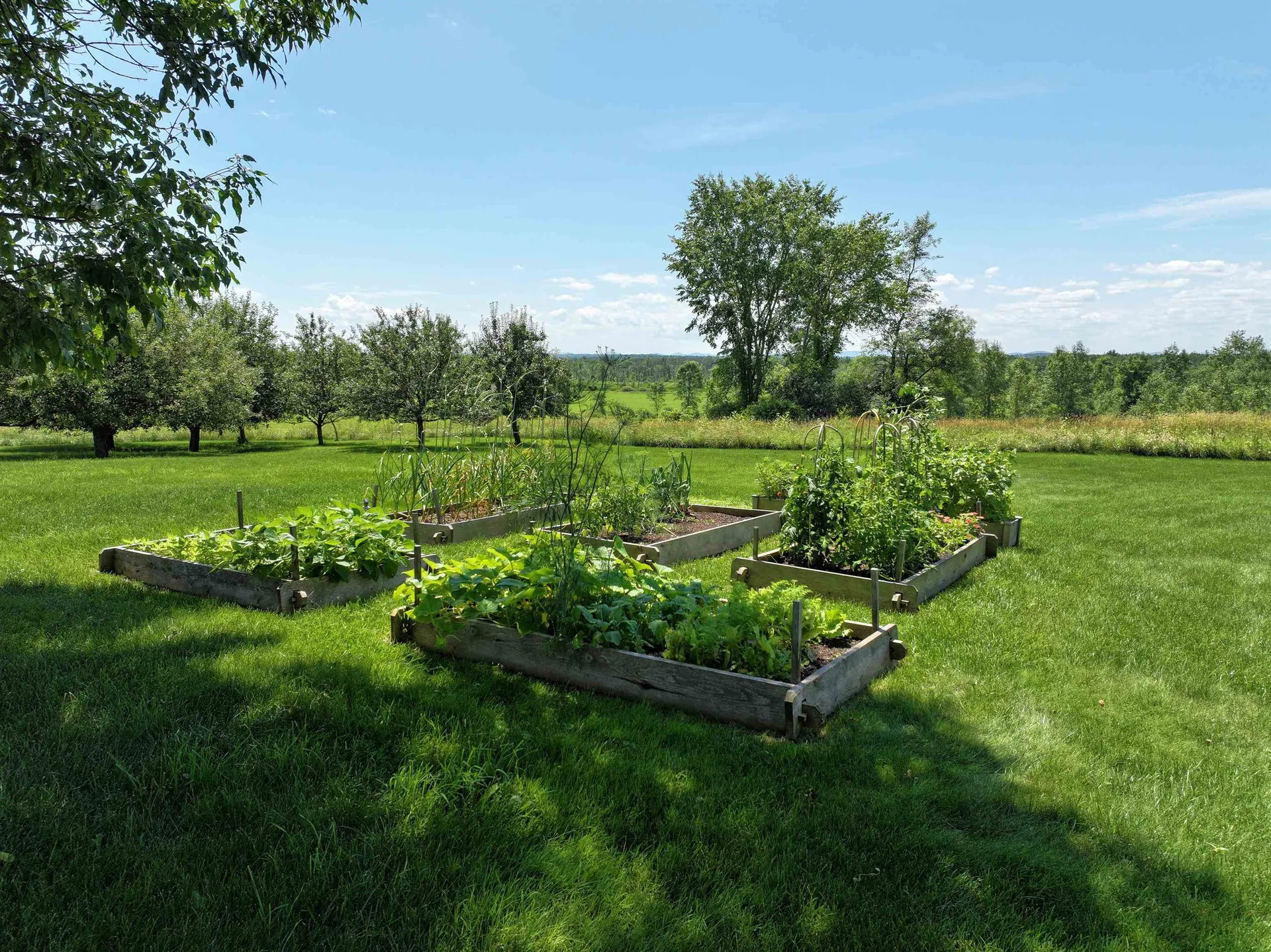 484 Halladay Road Middlebury VT 05753