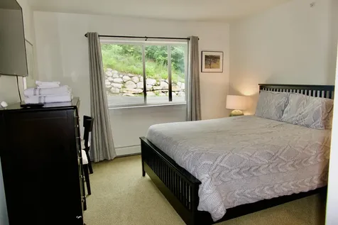 251 Mountainside Drive Warren VT 05674