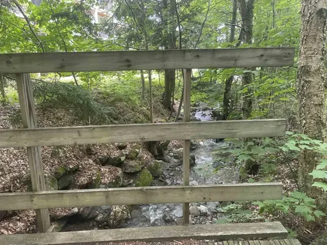 251 Mountainside Drive Warren VT 05674