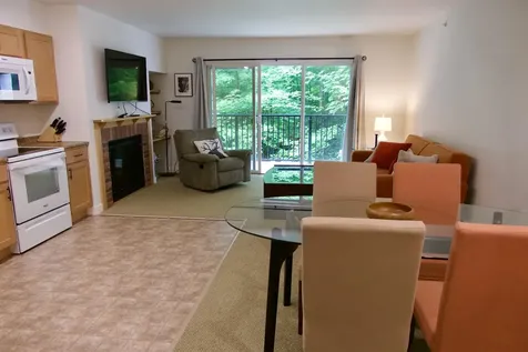 251 Mountainside Drive Warren VT 05674