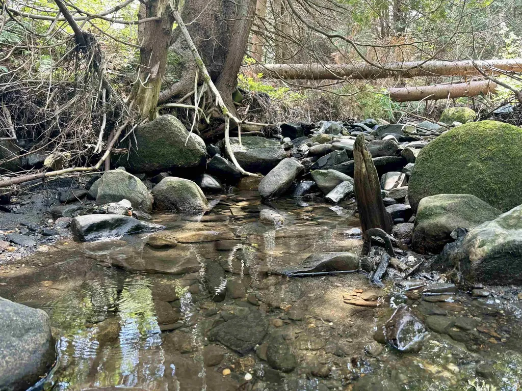 520 Prairie Road Holland VT 05830