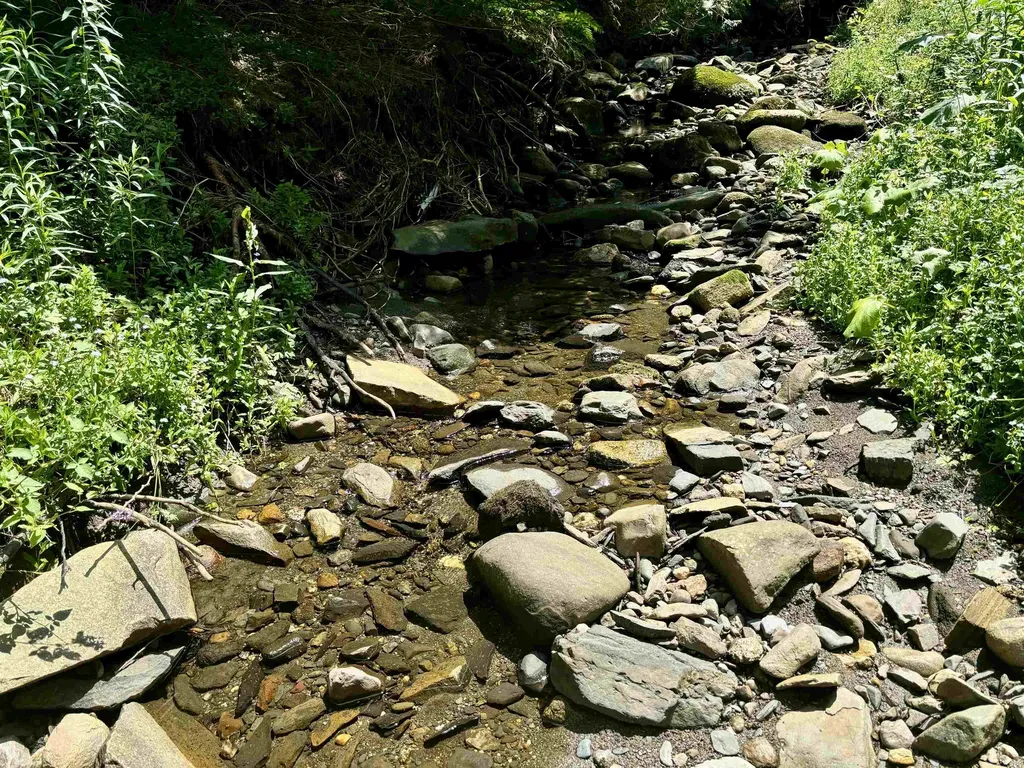 520 Prairie Road Holland VT 05830