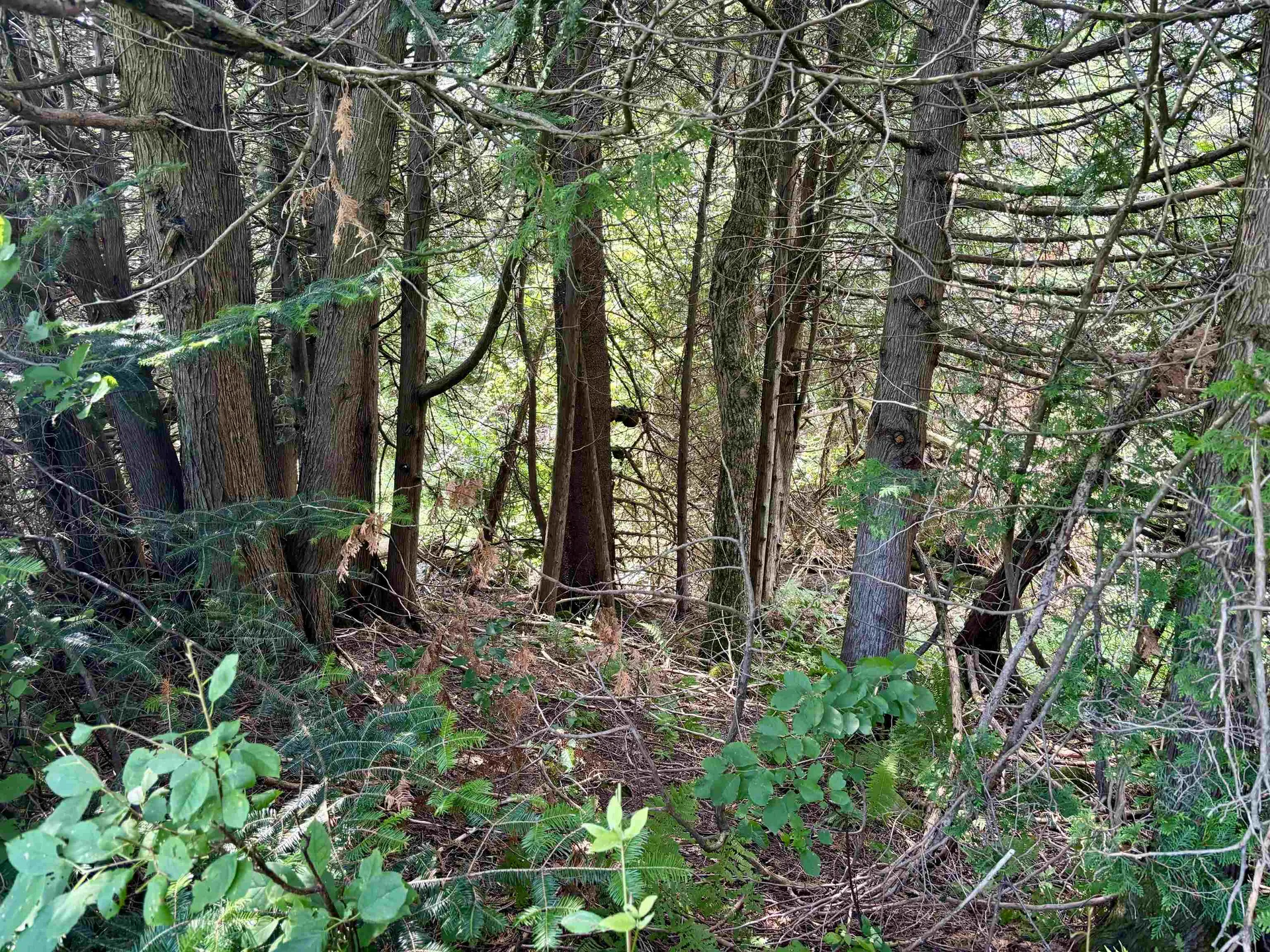 520 Prairie Road Holland VT 05830