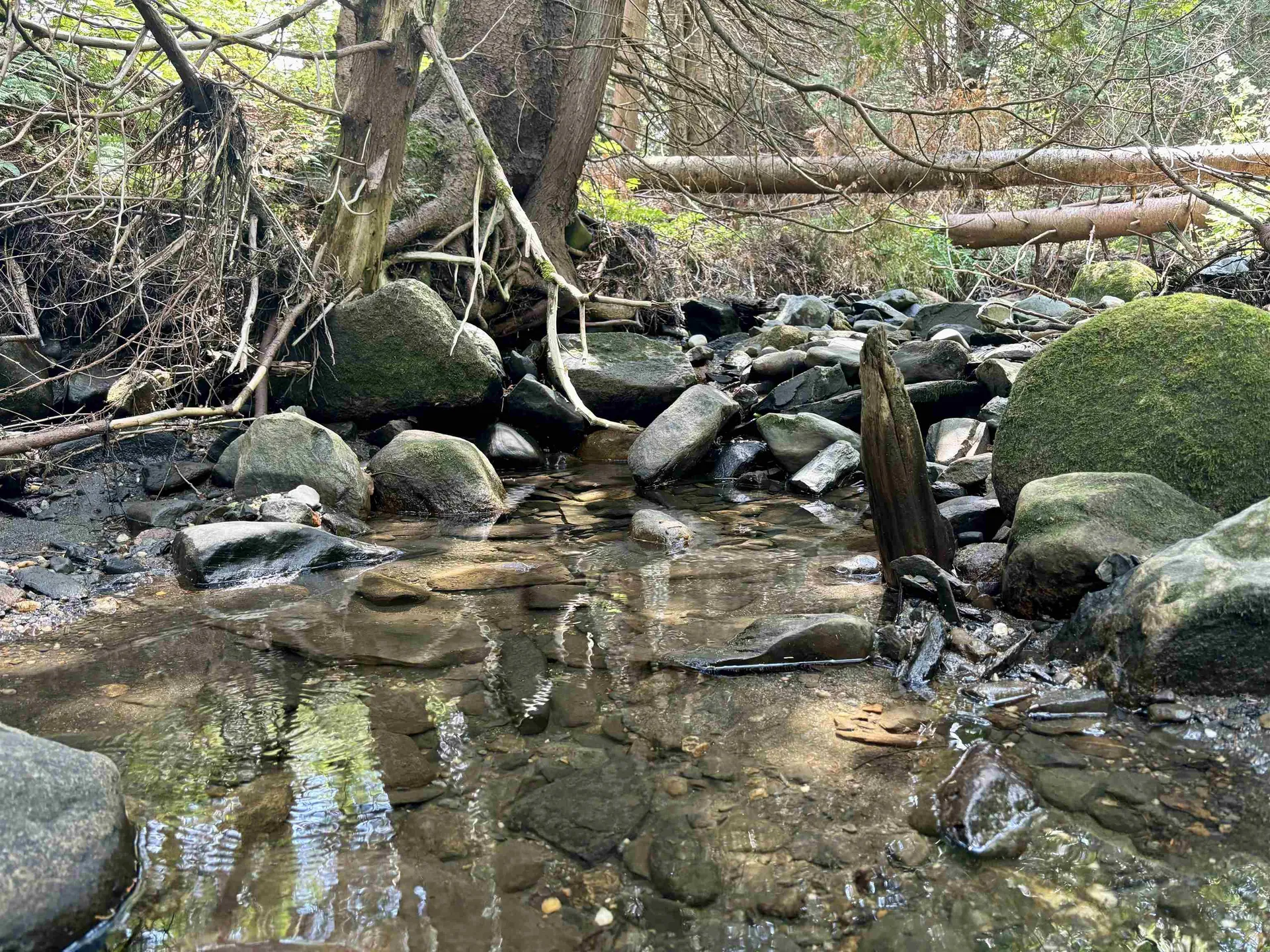 520 Prairie Road Holland VT 05830