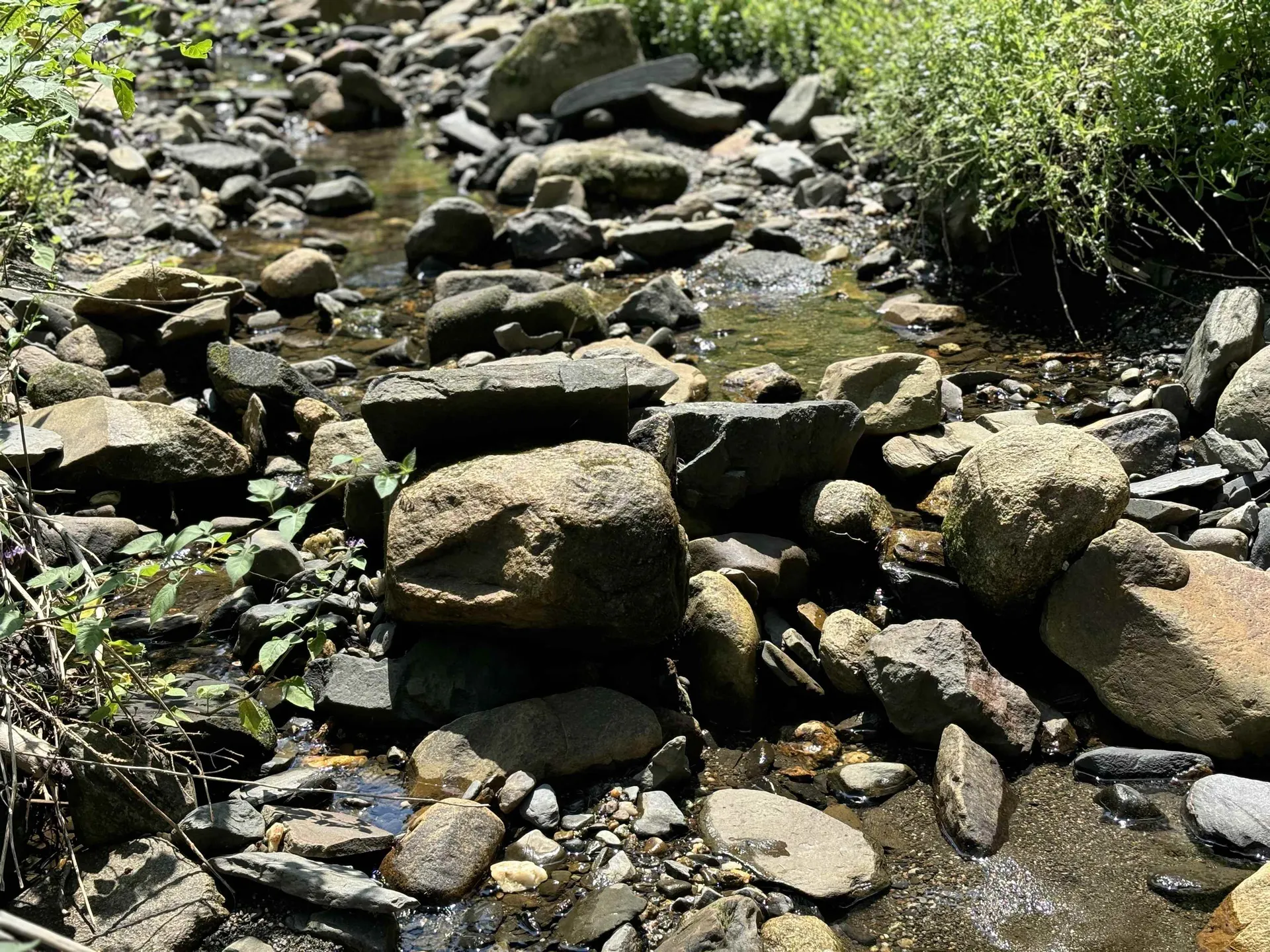 520 Prairie Road Holland VT 05830