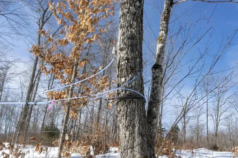 1036 Town Hill Road Wolcott VT 05680