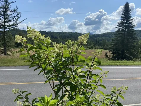 999 Vt Route 14 Craftsbury VT 05826