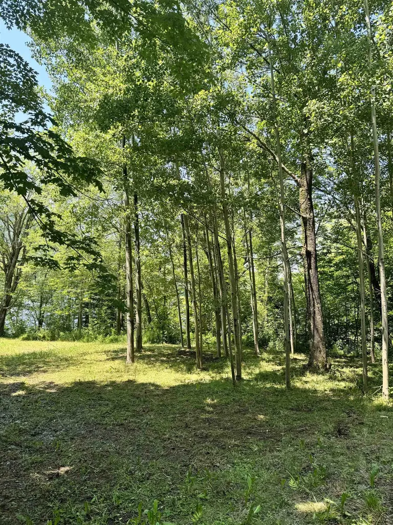 304 Camp Road Elmore VT 05657