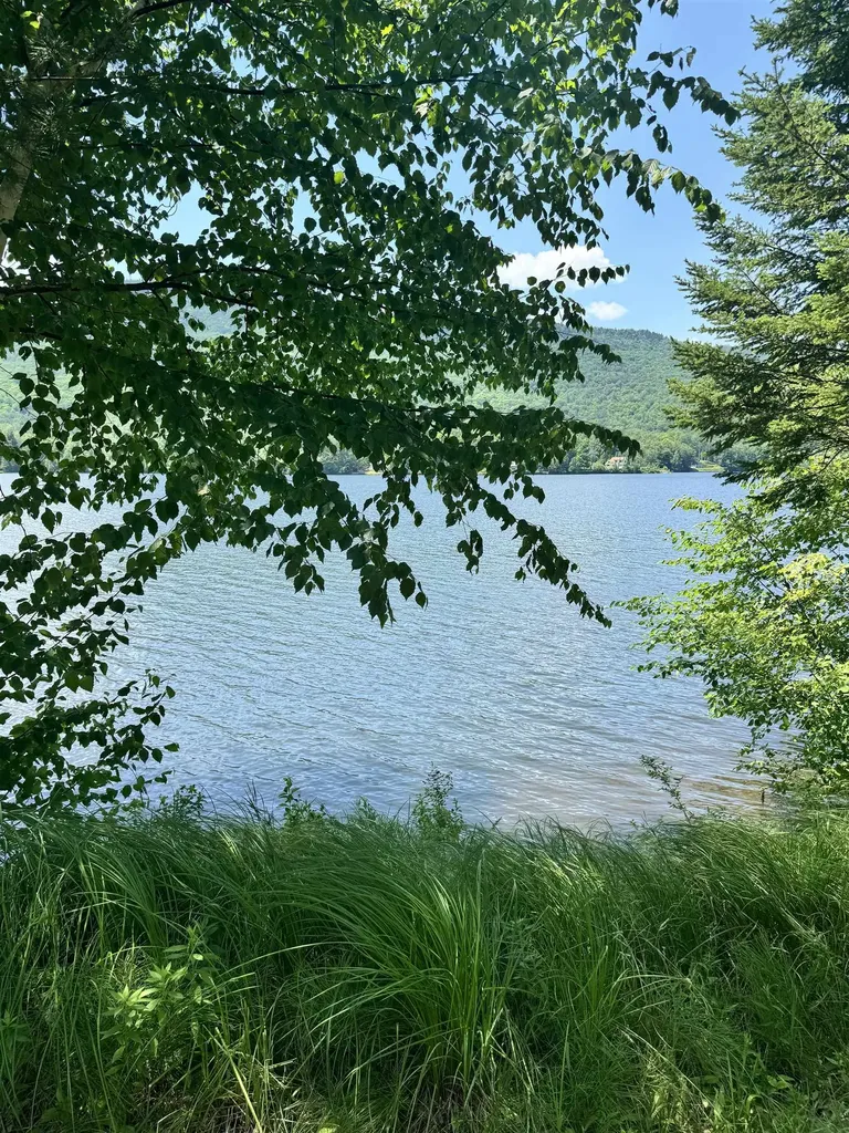 304 Camp Road Elmore VT 05657