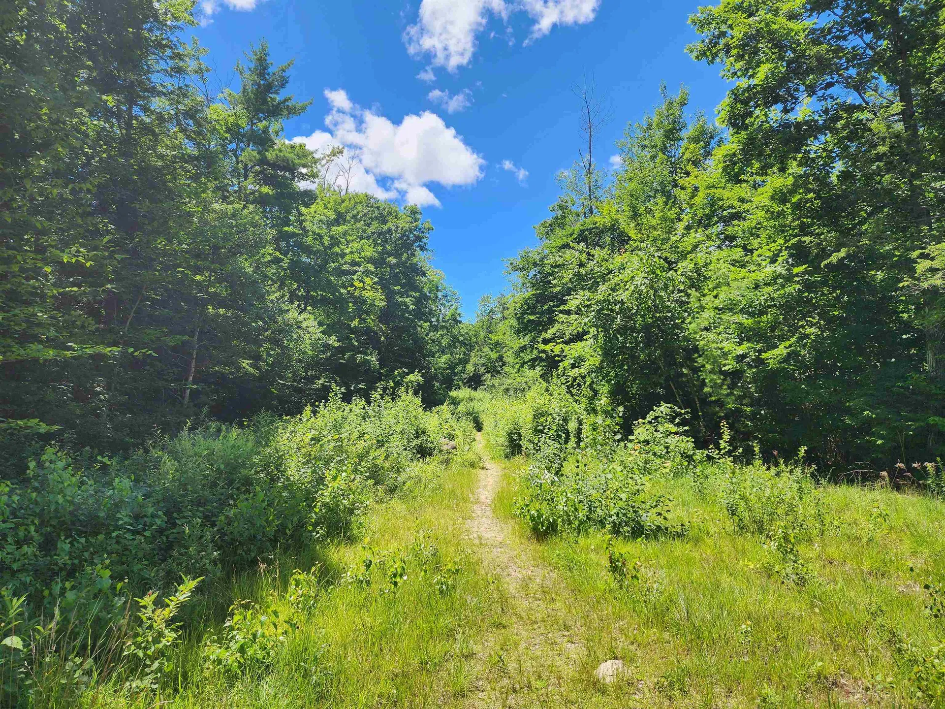 00000 Ledgewood Road Conway NH 03860