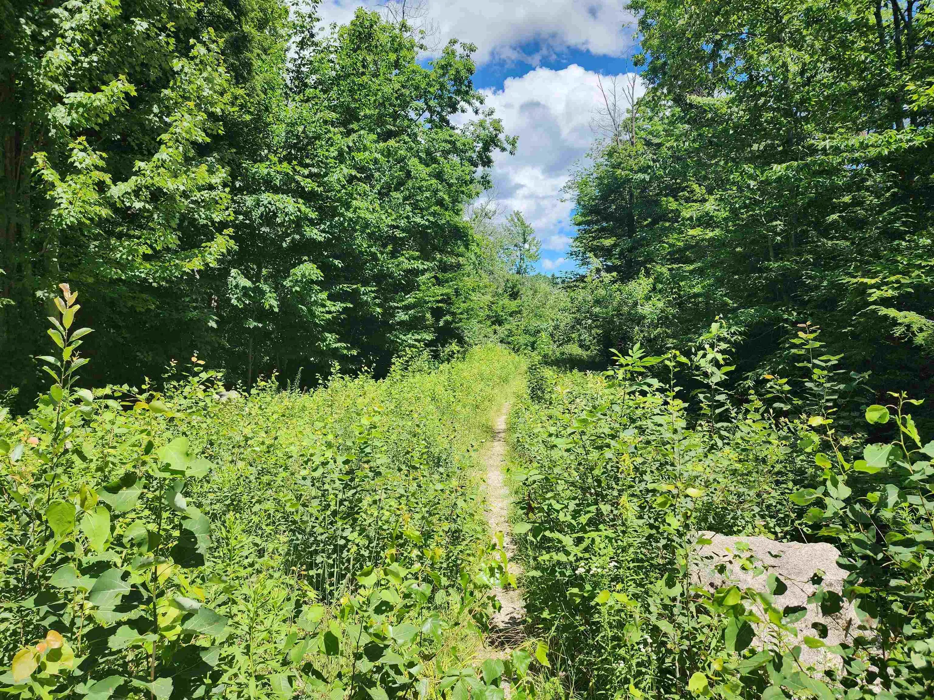 00000 Ledgewood Road Conway NH 03860