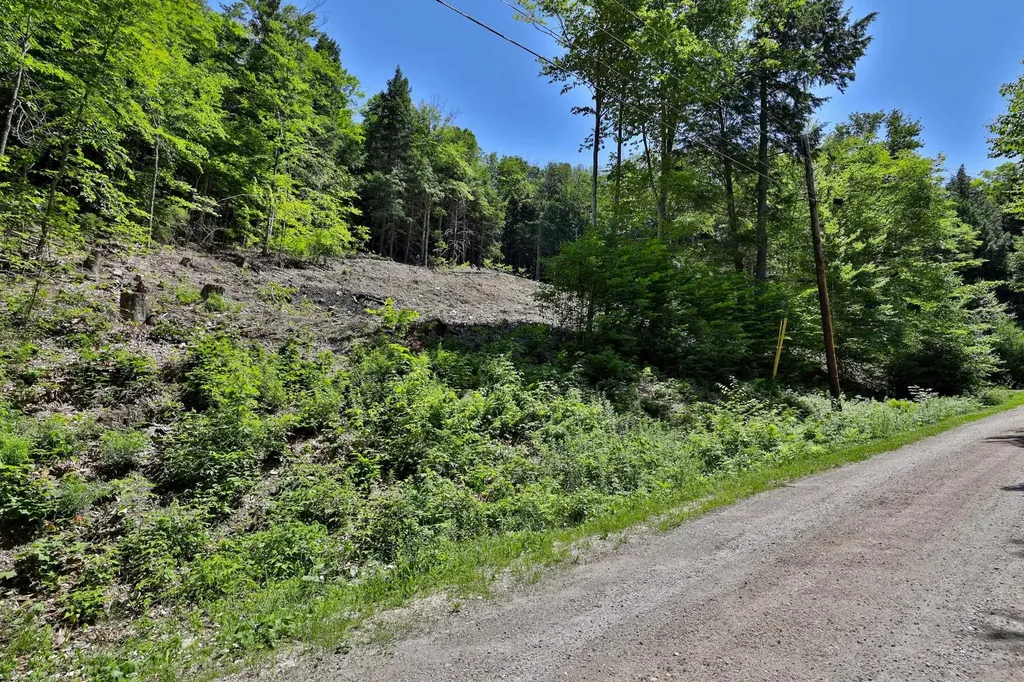 Lot 1-25 Madison Brook Lane Stockbridge VT 05772