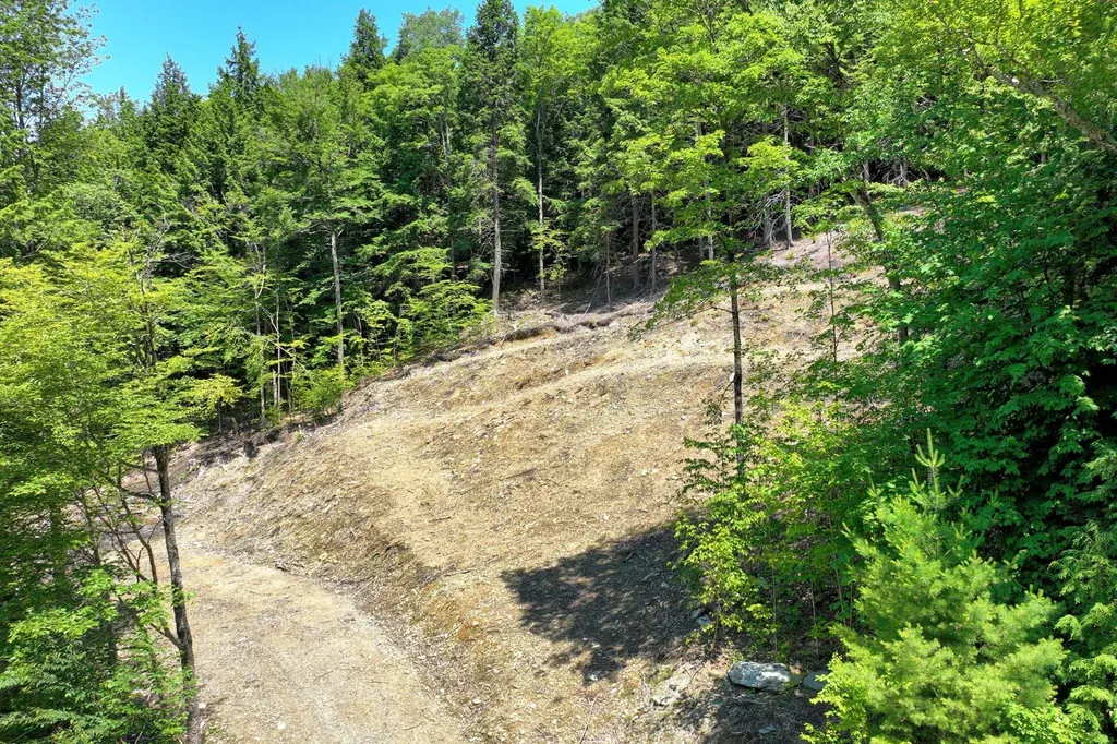 Lot 1-25 Madison Brook Lane Stockbridge VT 05772
