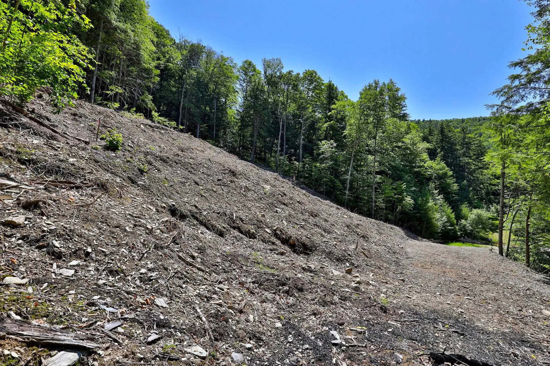 Lot 1-25 Madison Brook Lane Stockbridge VT 05772