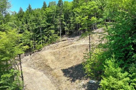 Lot 1-25 Madison Brook Lane Stockbridge VT 05772