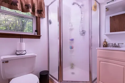 559 Pratt Bridge Road Jamaica VT 05343