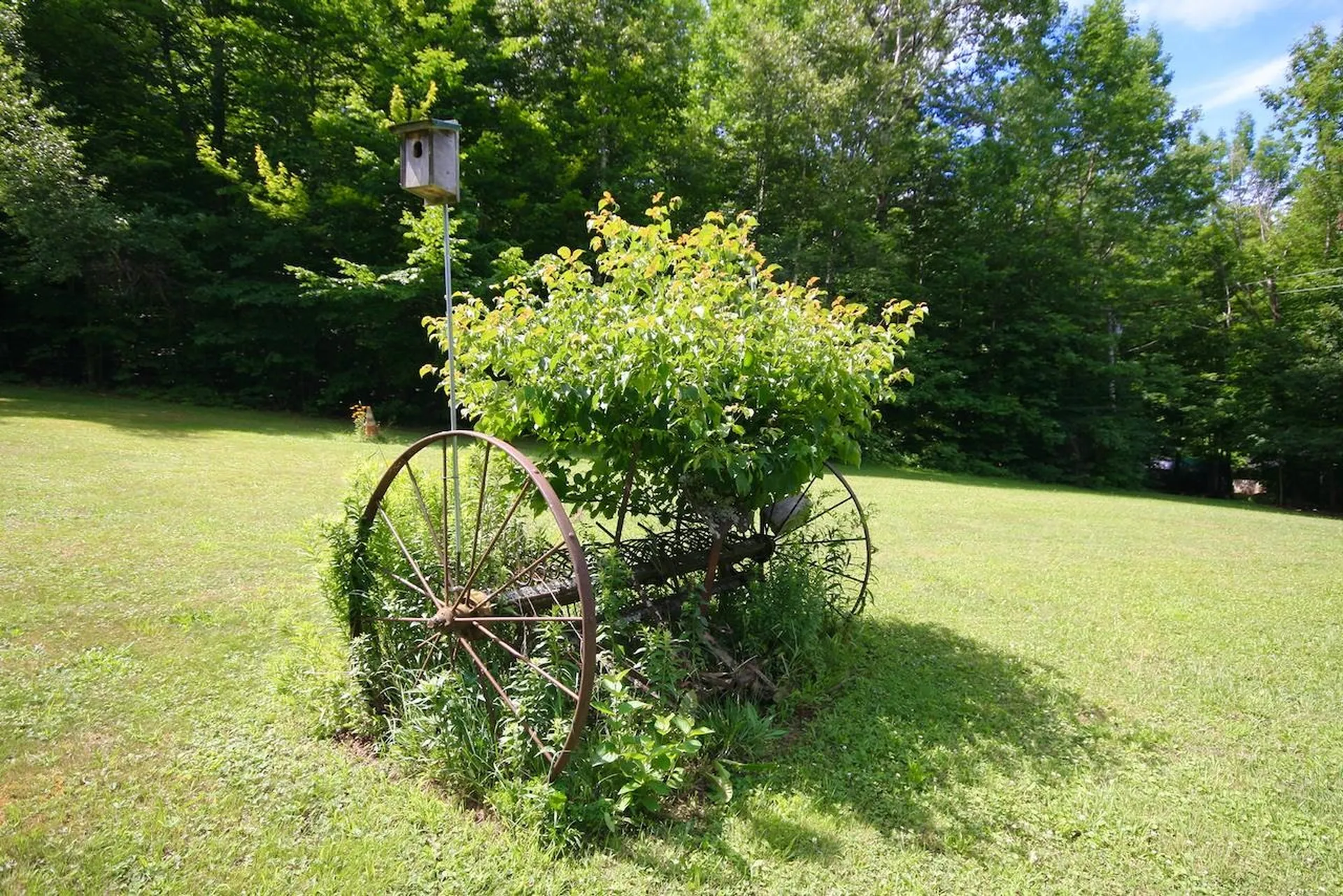 3025 Johnson Hill Road Royalton VT 05068