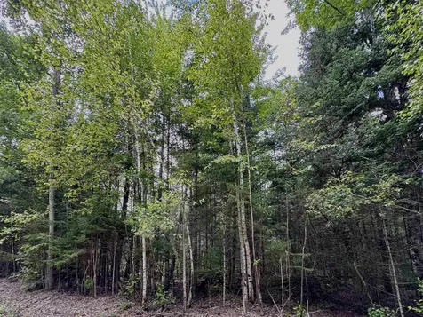 43e Enman Drive Jefferson NH 03583