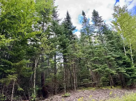 43e Enman Drive Jefferson NH 03583