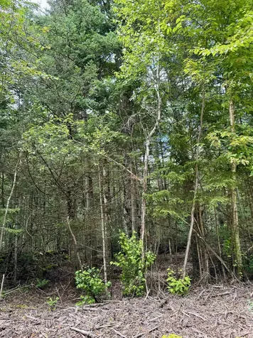 43e Enman Drive Jefferson NH 03583