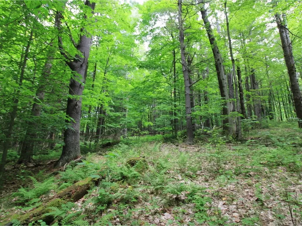 Lot 4 Piney Grove Lane Underhill VT 05489