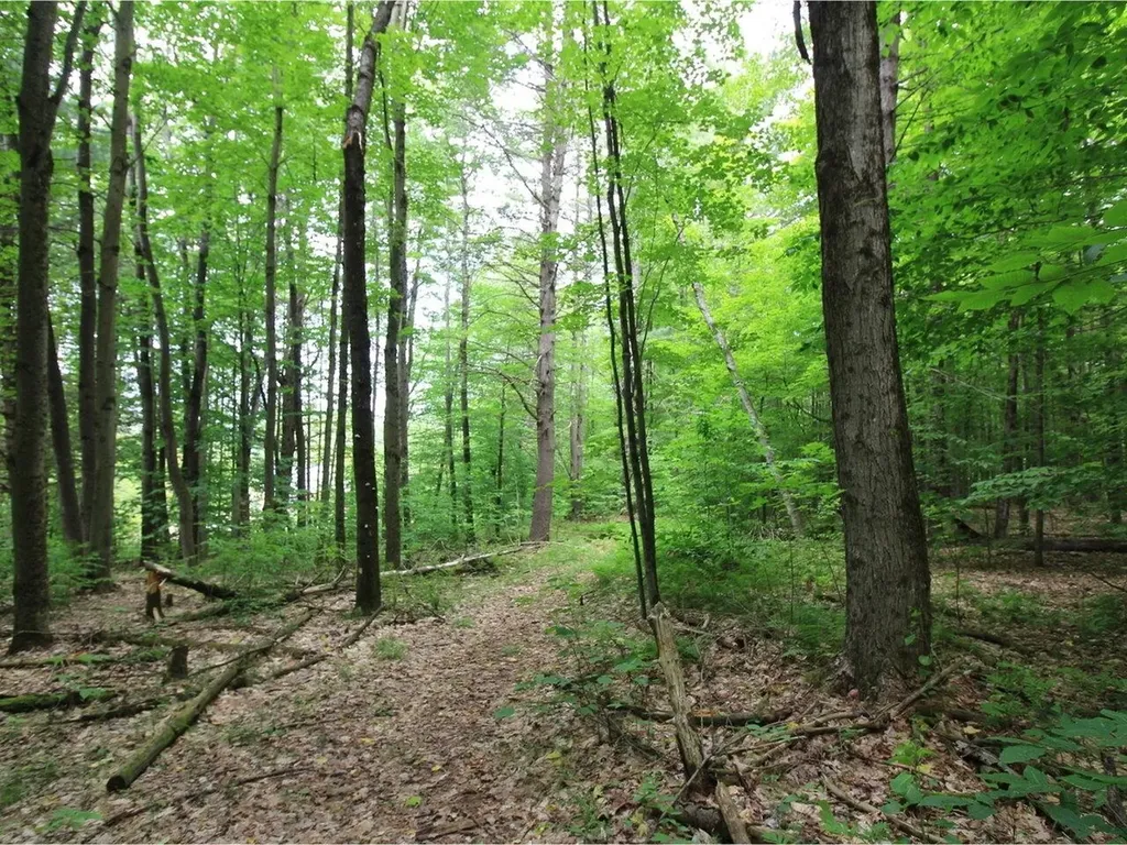 Lot 4 Piney Grove Lane Underhill VT 05489