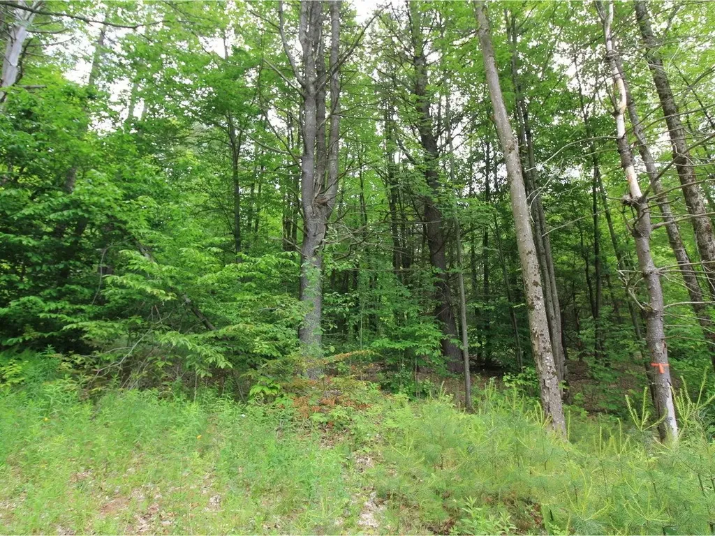 Lot 4 Piney Grove Lane Underhill VT 05489