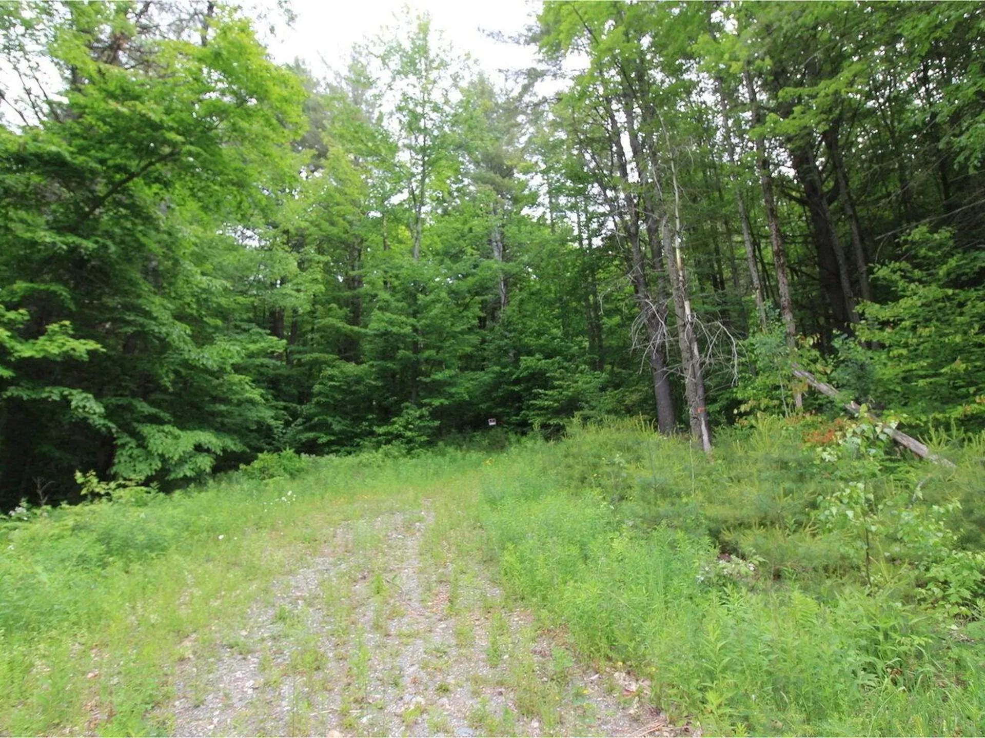 Lot 4 Piney Grove Lane Underhill VT 05489