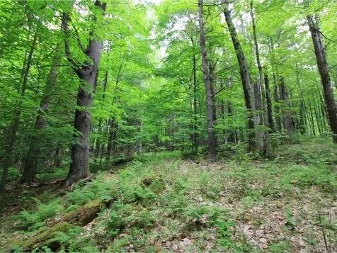 Lot 4 Piney Grove Lane Underhill VT 05489