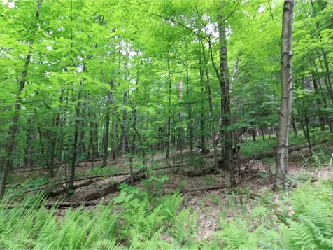 Lot 4 Piney Grove Lane Underhill VT 05489