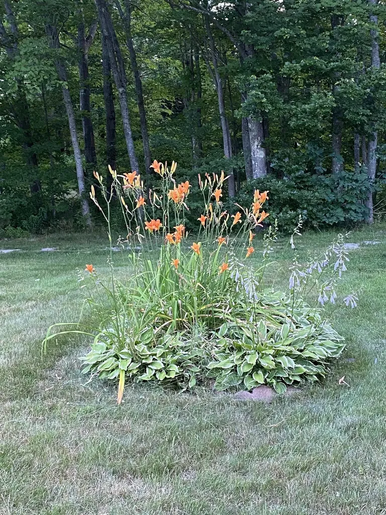 325 Whitehall Road Hooksett NH 03106
