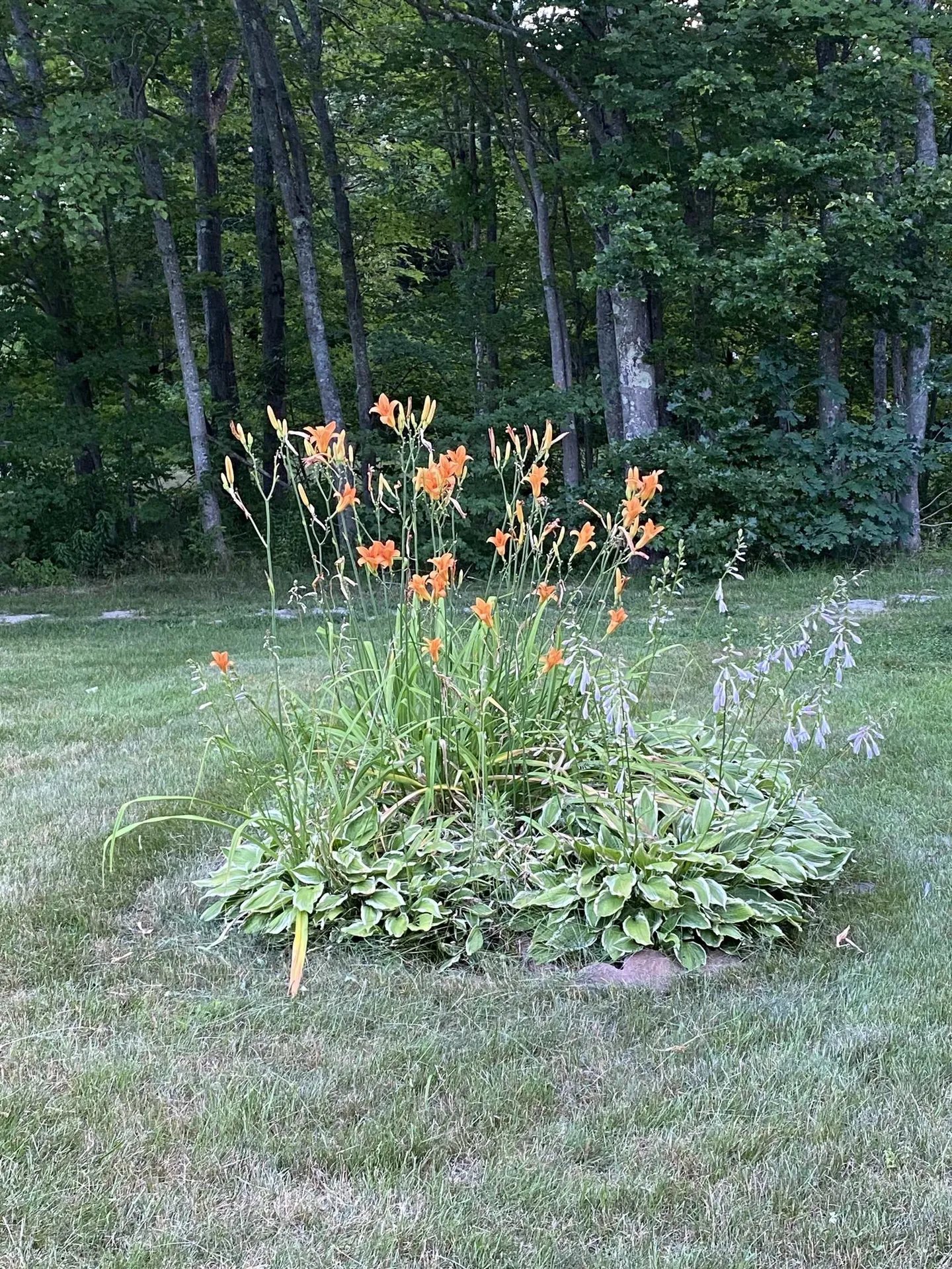 325 Whitehall Road Hooksett NH 03106