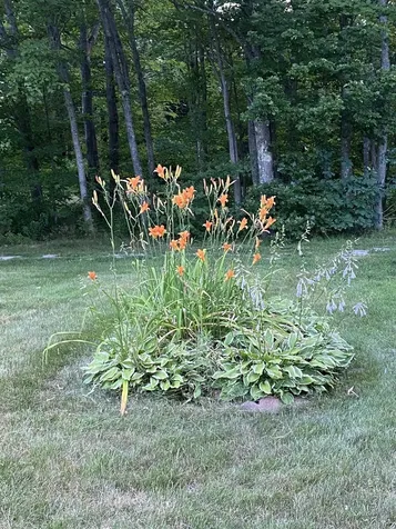 325 Whitehall Road Hooksett NH 03106