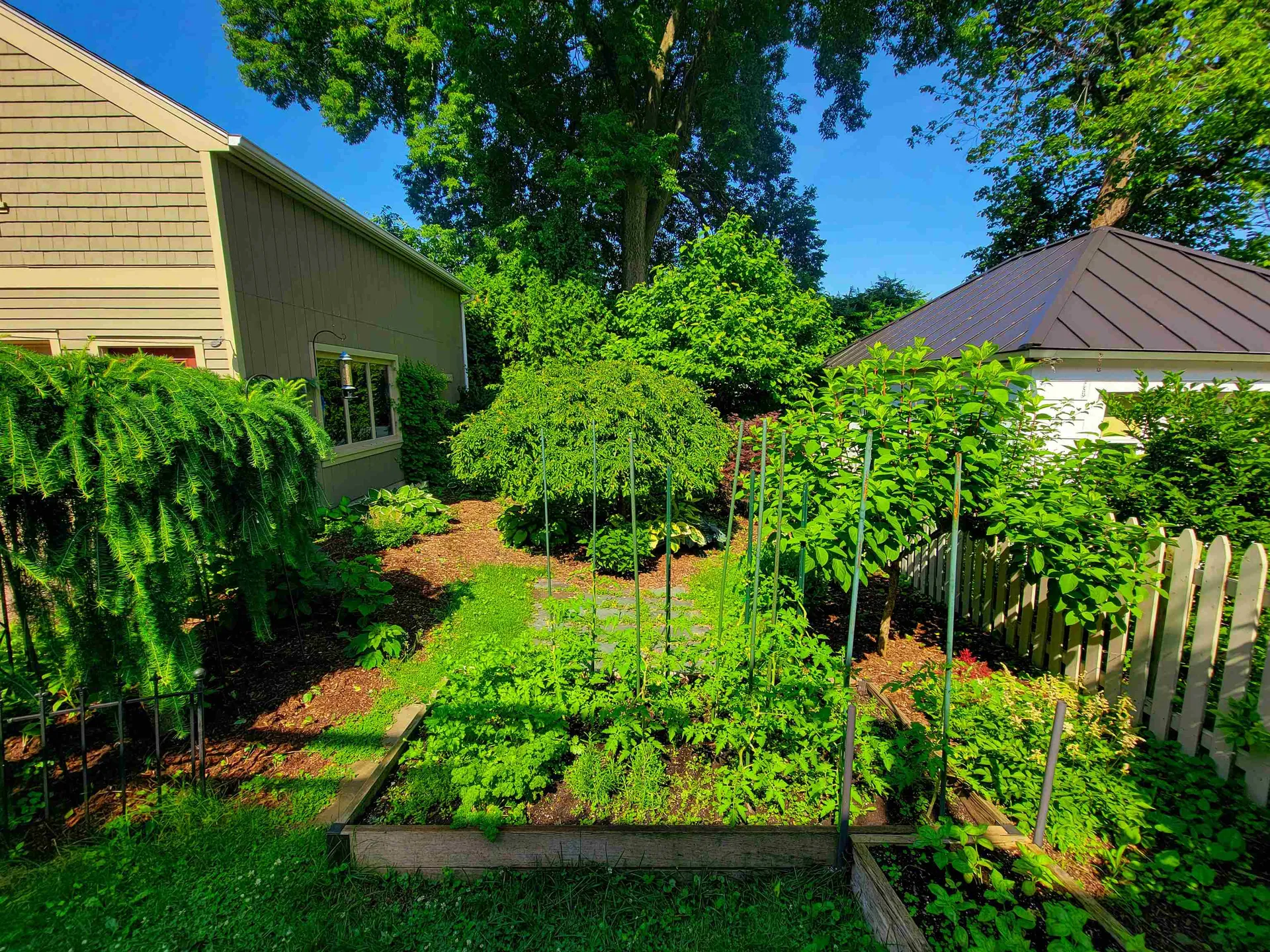 77 Charlotte Street Burlington VT 05401