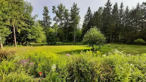 3350 Vt Route 155 Mount Holly VT 05758