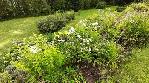 3350 Vt Route 155 Mount Holly VT 05758