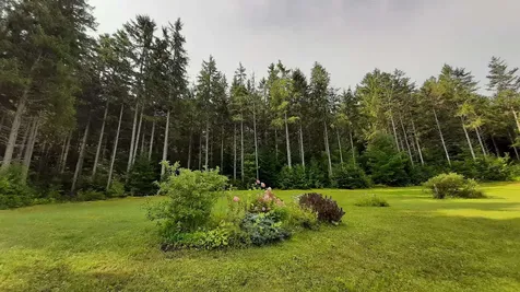 3350 Vt Route 155 Mount Holly VT 05758