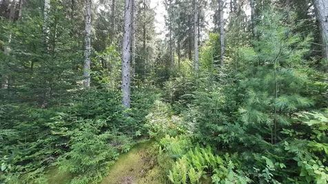 3350 Vt Route 155 Mount Holly VT 05758