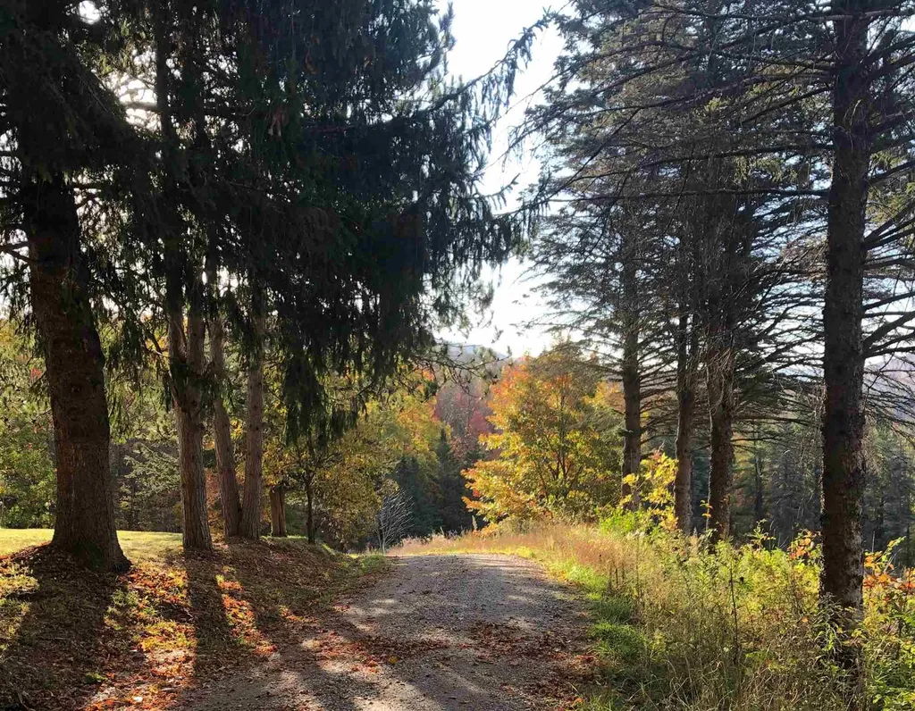 449 Three Meadow Drive Pawlet VT 05761