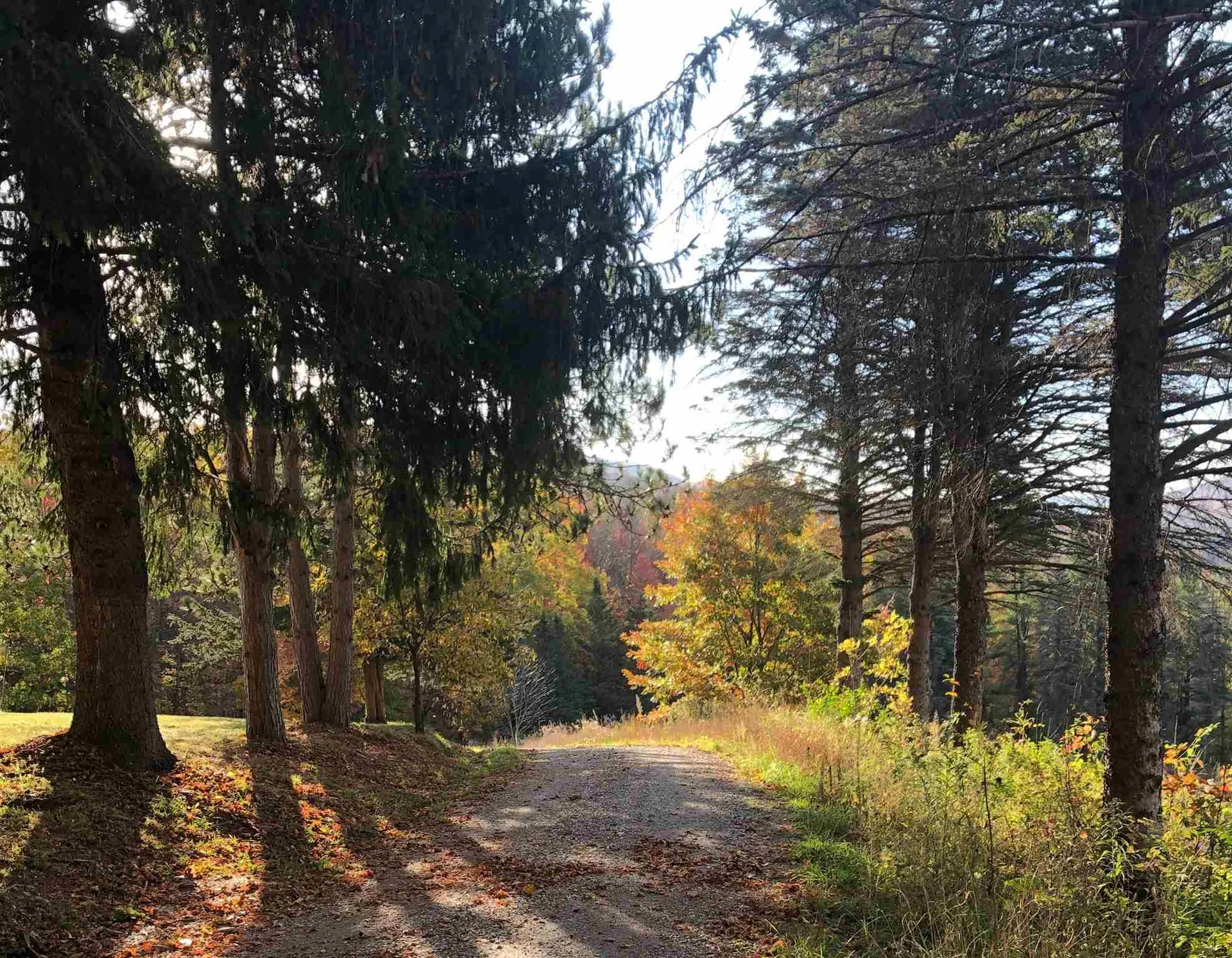 449 Three Meadow Drive Pawlet VT 05761