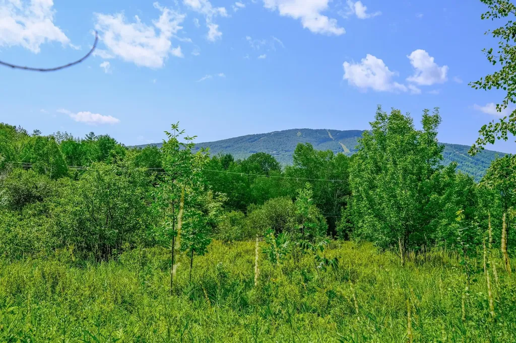 00 Town Farm Road Ludlow VT 05149