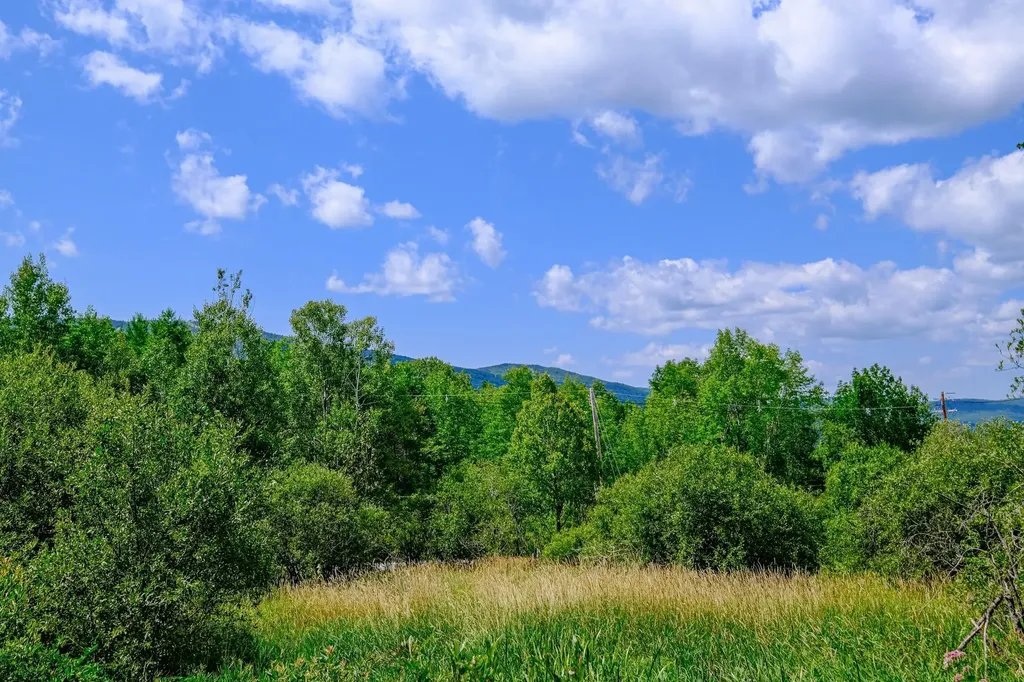 00 Town Farm Road Ludlow VT 05149