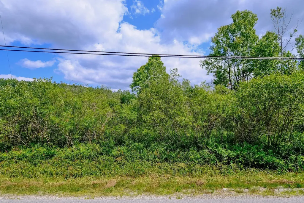 00 Town Farm Road Ludlow VT 05149