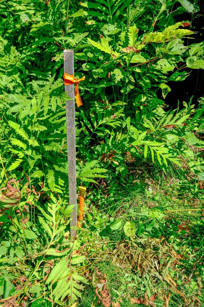 00 Town Farm Road Ludlow VT 05149