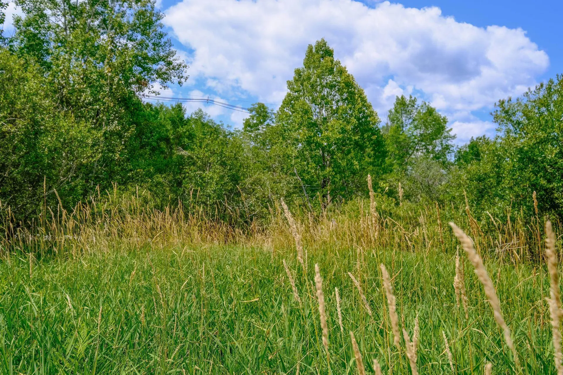 00 Town Farm Road Ludlow VT 05149