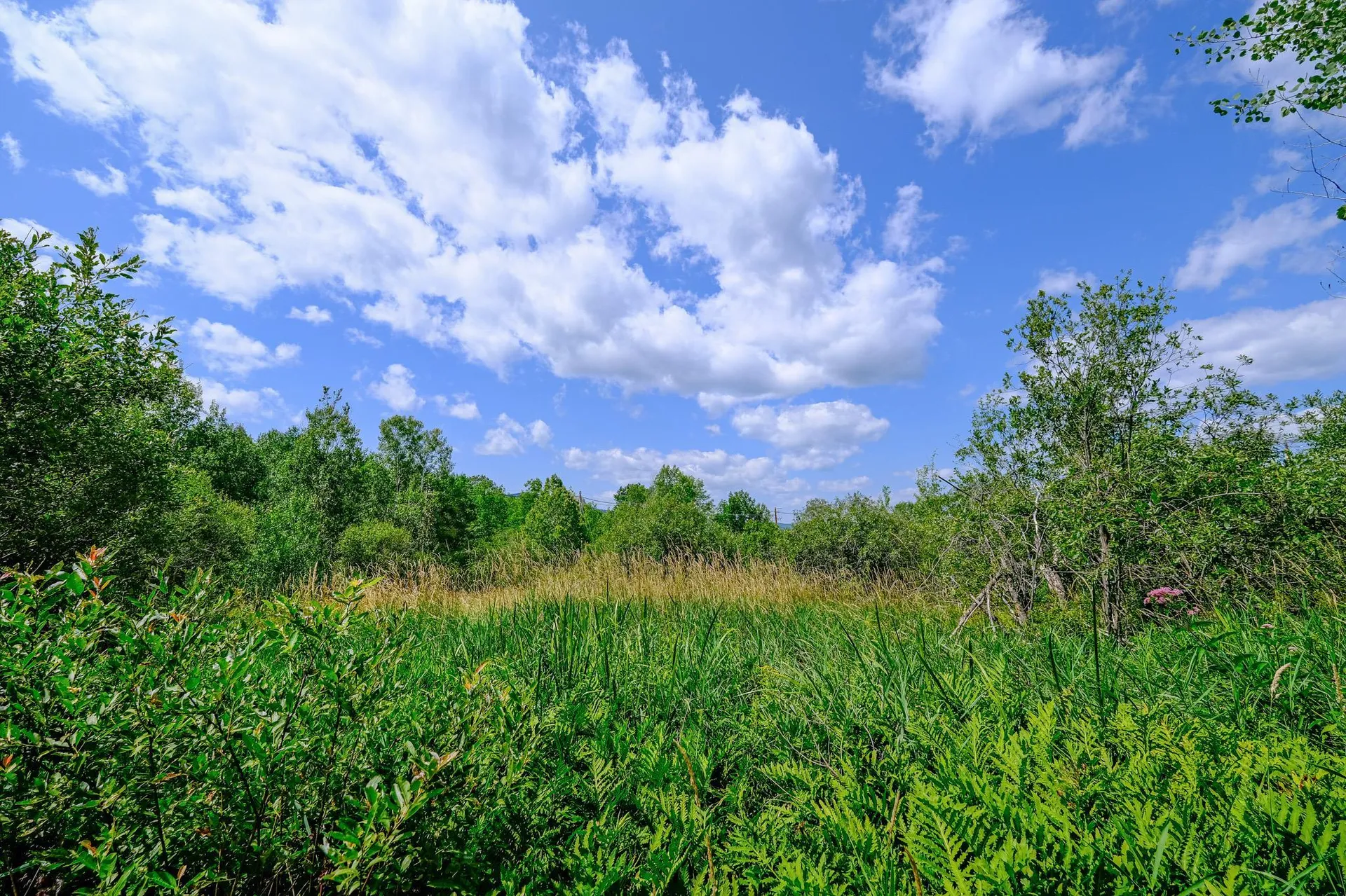 00 Town Farm Road Ludlow VT 05149
